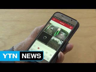 스마트폰으로 농장 시설 '척척' / YTN (Yes! Top News)