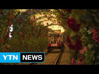 여름엔 밤이 좋아...한낮 더위 식힌다 / YTN (Yes! Top News)