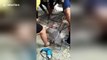 Seven men rescue kittens trapped in concrete sewer