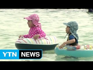 [날씨] 일주일째 가마솥더위...무더위 8월 초 절정 / YTN (Yes! Top News)