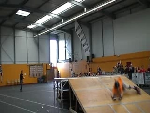 loann contest sauterelles