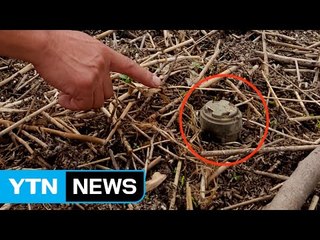 양구에서 장맛비에 떠내려온 지뢰 1발 발견 / YTN (Yes! Top News)