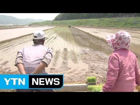 100세 이상 3,159명…5년 새 72% 증가 / YTN (Yes! Top News)