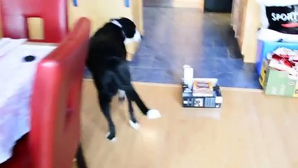 iRobot Roomba 650 first use