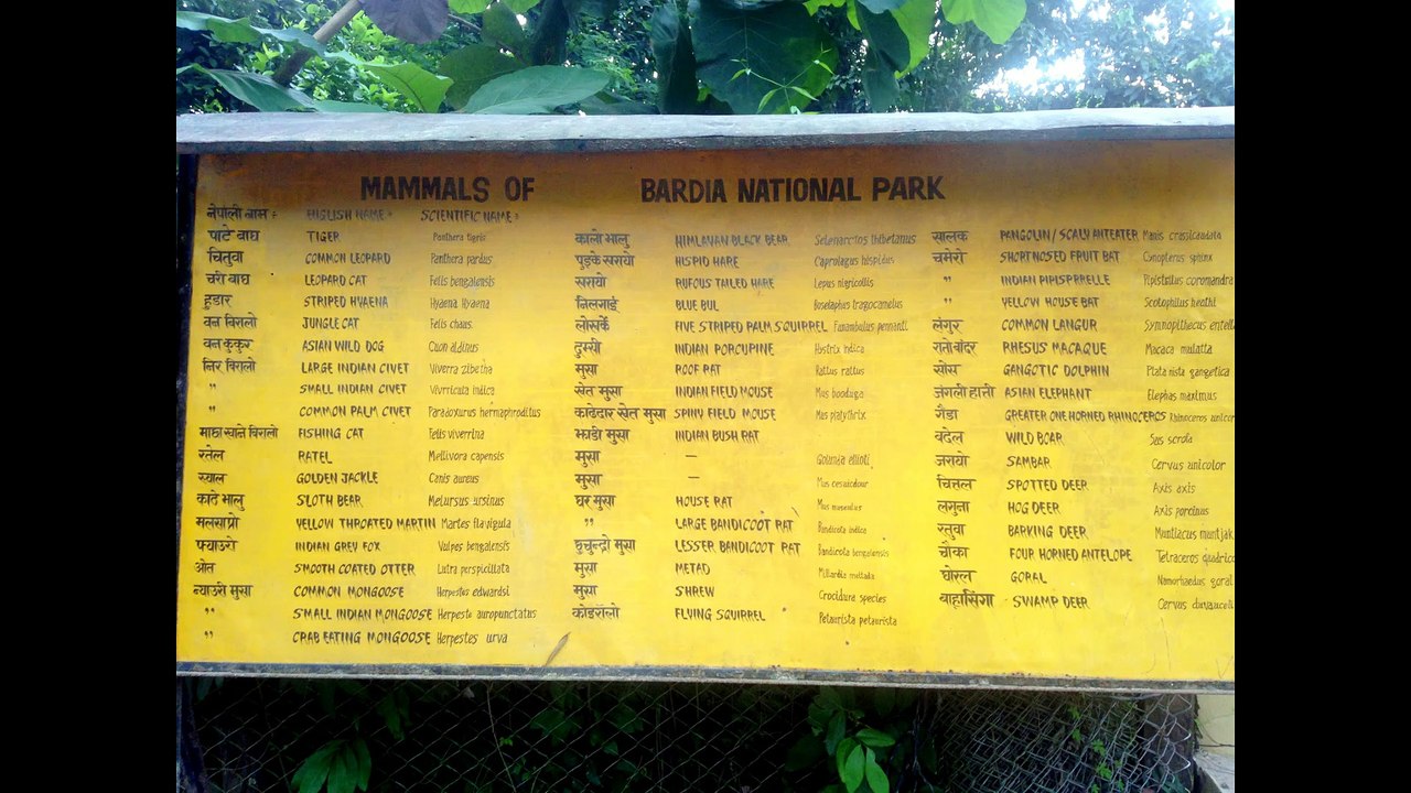 Bardia National Park Nepal Tour |  Best Wildlife Tour Experience