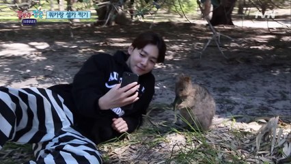 위너, 세상에서 제일 행복한 동물 쿼카를 만나다♥