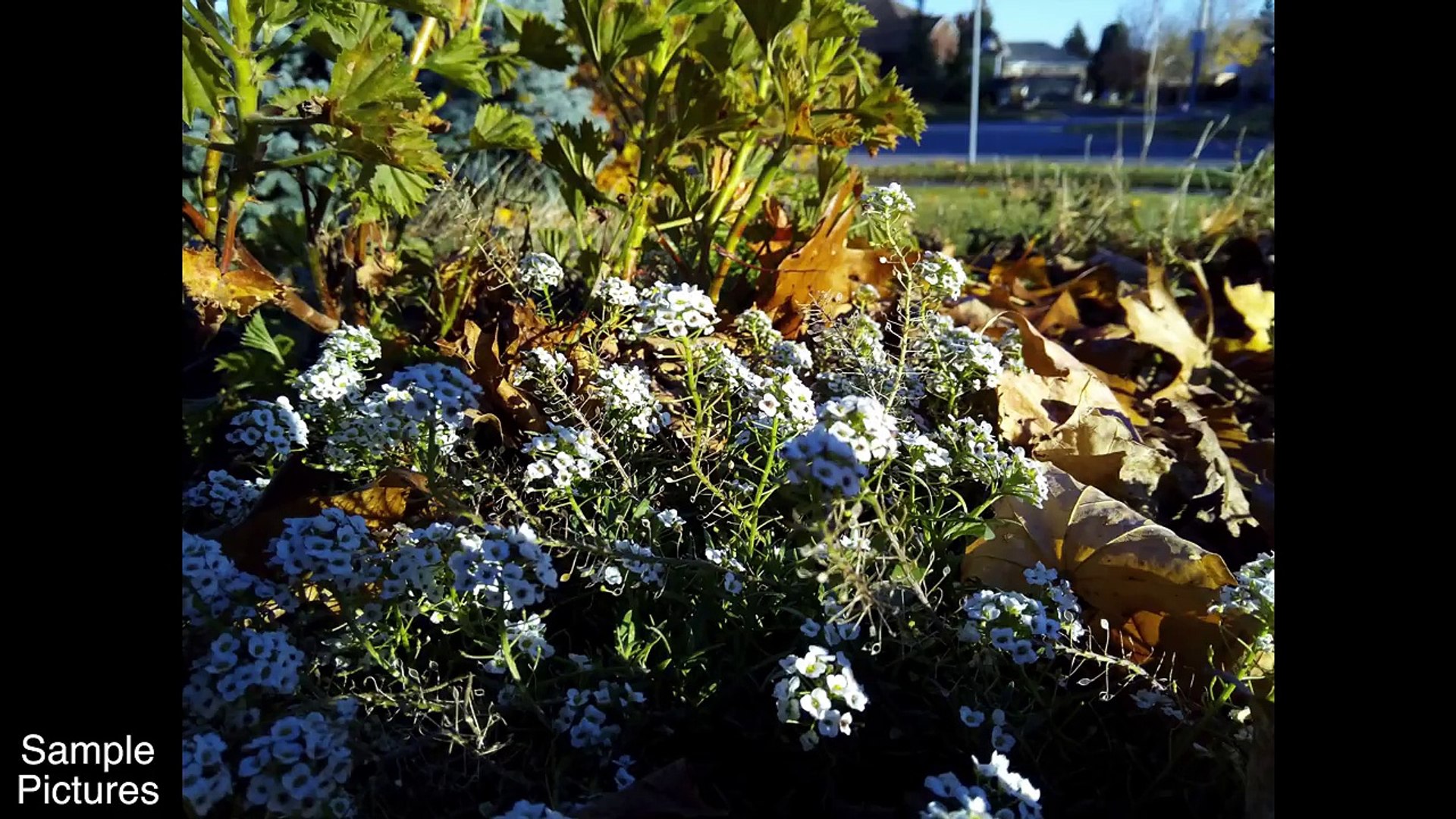 ⁣18 -9 Screen for $115 - Cubot X18 Smartphone Review-NYgAiZxpHB4