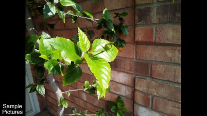 A $50 Phone with a 5050mAh Battery and Android 7.0 - M-Net Power 1-aXF5FRw-_eI