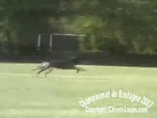 Championnat bretagne RCI 2003