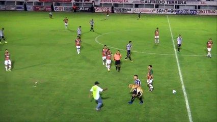 Un chien tacle un joueur de foot !