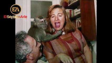 Muchos hijos, un mono y un castillo - Tráiler (HD)