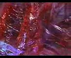 Ultraman Jack (ウルトラマンジャック) vs Monsters (1971)  Siêu nhân điện quang Jack (Hoạt hình Nhật Bản)