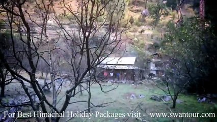 Trip to Himachal Pradesh Video - Swan Tours