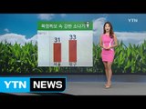 [날씨] 폭염특보 속 낮∼밤사이 곳곳 소나기 / YTN (Yes! Top News)