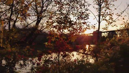 Samsung Galaxy Note 8 Cinematic 4K Camera Test-AivAIsrd39I