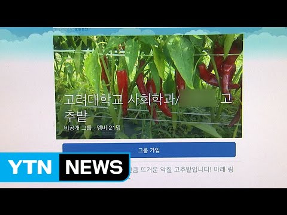 고려대, 이번에는 '페이스북 음란물' 논란...진상조사 착수 / YTN (Yes! T...