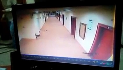 سەریعترین کورد لە هەموو جیهان!! ئەمە پرینگە یان مروڤە