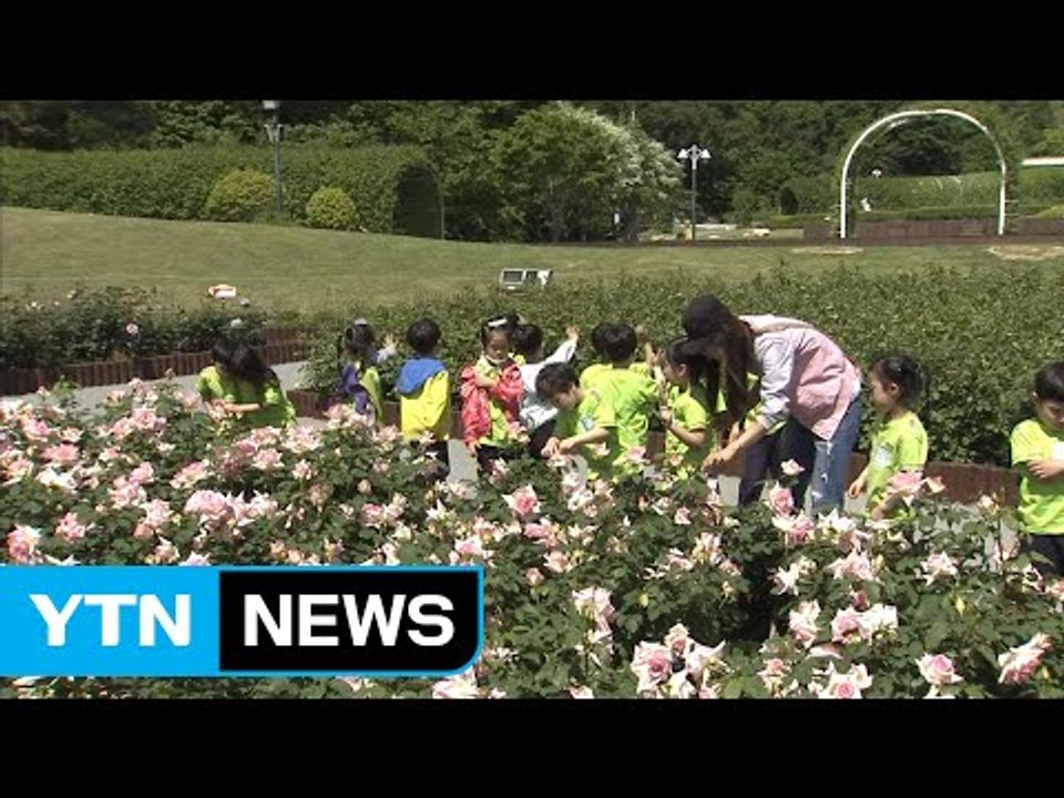 [울산] '울산 어린이 테마파크' 사업 본격화...내년 개관 / YTN (Yes! T...