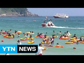찜통더위 피해 바다로 계곡으로...피서 절정 / YTN (Yes! Top News)