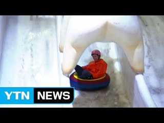 눈과 얼음 썰매 즐기며 더위 잊어요 / YTN (Yes! Top News)