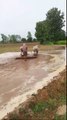 Cultivation For Rice Plant-jJGB6gaopA4