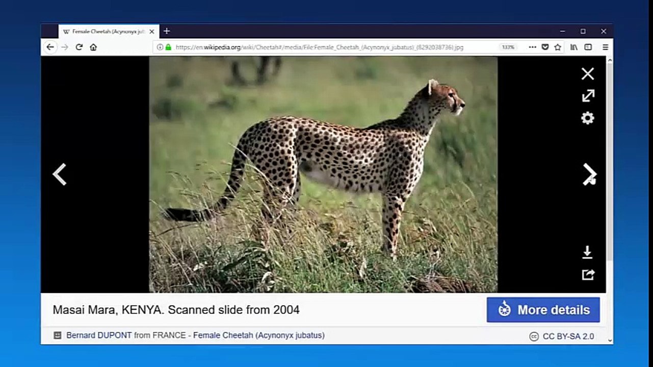 Firefox Quantum is faster than chrome 2X
