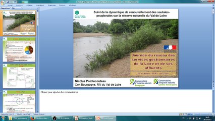 Suivi de la dynamique de renouvellement des saulaies-peupleraies sur la réserve naturelle du Val de Loire