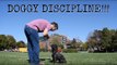 Dad Gives Puppy Obedience Lessons in Park