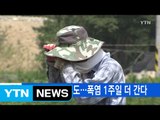 [YTN 실시간뉴스] 경북 의성 37.8도…폭염 1주일 더 간다 / YTN (Yes! Top News)