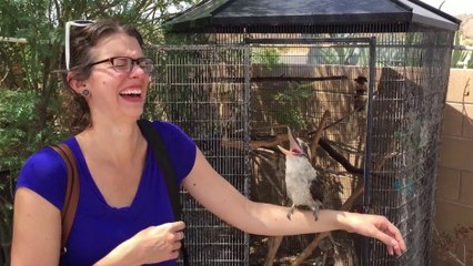 Une femme se tape un fou rire avec un Martin-pêcheur
