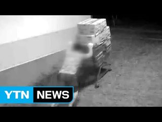"고양이에게 생선을..." 물건 훔치려고 마트 취업 / YTN (Yes! Top News)