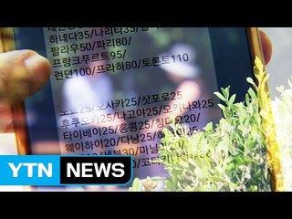 "항공권 싸게 주겠다"...연예인도 속아 / YTN (Yes! Top News)