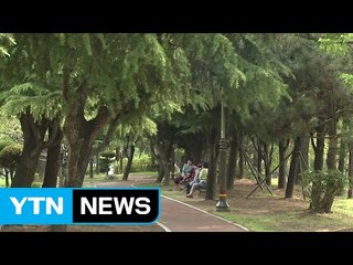 [날씨] 숨 막히는 더위 계속...서울 낮 기온 35℃ / YTN (Yes! Top News)