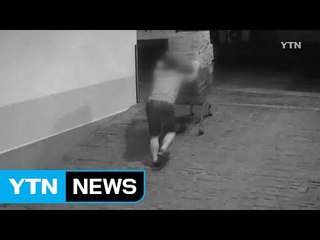 "고양이에게 생선을..." 물건 훔치려고 마트 취업 / YTN (Yes! Top News)