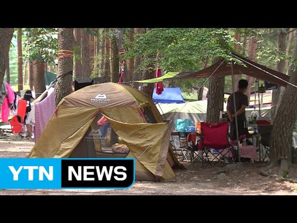 무허가 야영장 배짱 영업...안전불감증 여전 / YTN (Yes! Top News)