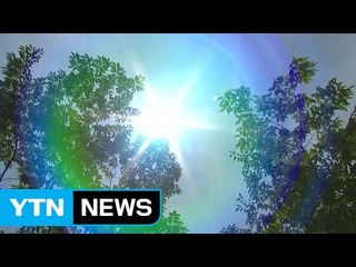 [날씨] 폭염 더 강해져...수도권 미세먼지 주의 / YTN (Yes! Top News)