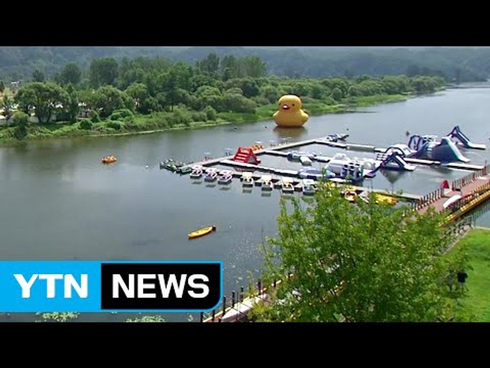 공연과 캠핑, 불꽃놀이까지...자라섬에서 피서 즐겨요 / YTN (Yes! Top N...