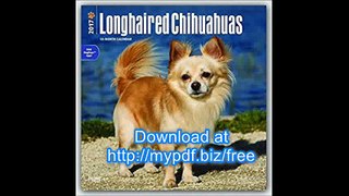 Chihuahuas, Longhaired 2017 Square (Multilingual Edition)