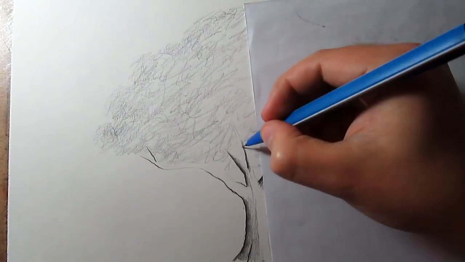Cómo Dibujar un Árbol Realista a lápiz Paso a Paso Para niños y  Principiantes - Tutorial – Видео Dailymotion