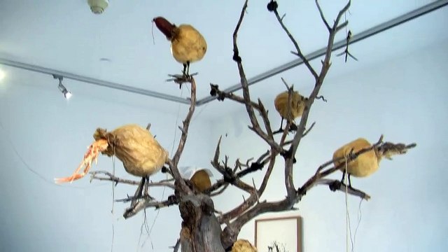 Catherine Soria, directrice artistique du centre d'art contemporain