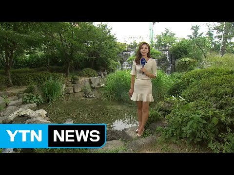 [날씨] 곳곳 소나기...내일도 폭염 계속, 서울 34℃ / YTN (Yes! Top News)