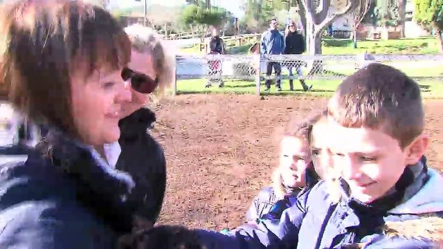 Vous aussi, venez perendre un bol d'air... virtuel