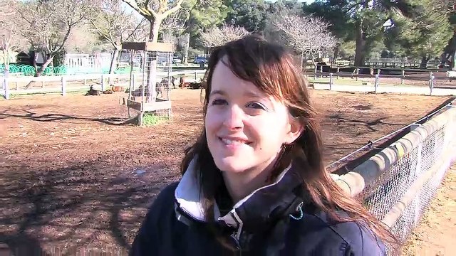 Comment assister à une animation ? Les explications d'Ameline Ferrand