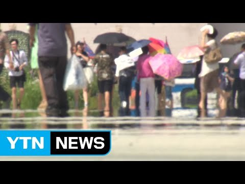 [날씨] 정점 찍은 폭염...앞으로 사나흘이 고비 / YTN (Yes! Top News)