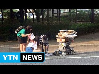 "찜통더위 속에서 시원한 바람을 봤다" / YTN (Yes! Top News)