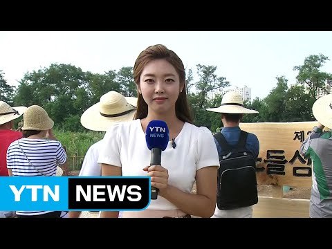 [날씨] 내일 소나기도 없는 폭염...서울 34℃ / YTN (Yes! Top News)