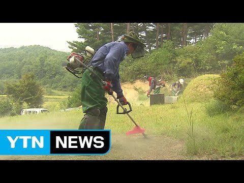 추석 앞두고 벌초 대행 신청 봇물...8월까지 신청해야 / YTN (Yes! Top News)