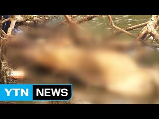 한강 미스터리 풀렸다..."천제 지내고 유기" / YTN (Yes! Top News)