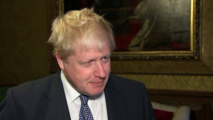 Johnson vows to continue efforts to secure release of Brit