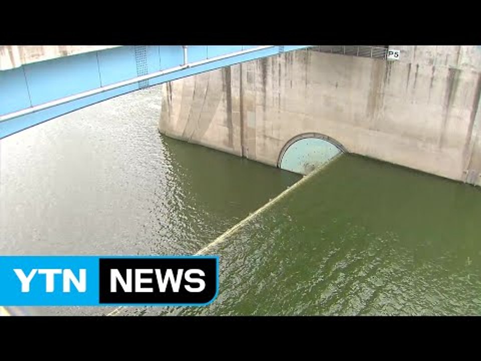 폭염에 녹조 확산...수돗물 관리 비상 / YTN (Yes! Top News)